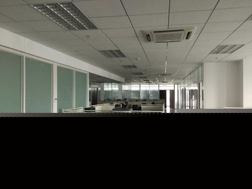 看准网在软件开发领域的应用与价值